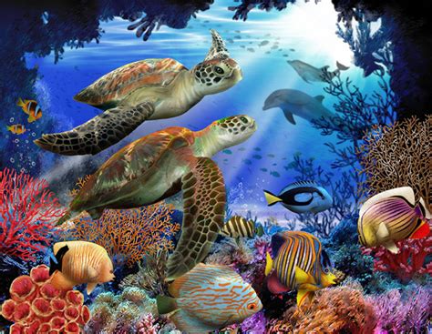 Sea Turtle Coral Reef Puzzle Sea Turtle Conservancy