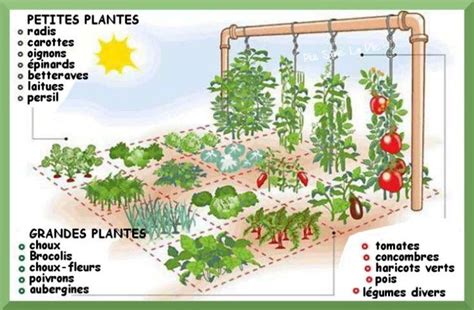 Comment créer un jardin potager sur 1 mètre carré Huerto Huerto