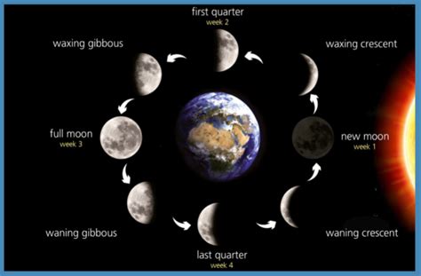 The different moon phases are: New Moon | Facts, Information, History & Definition