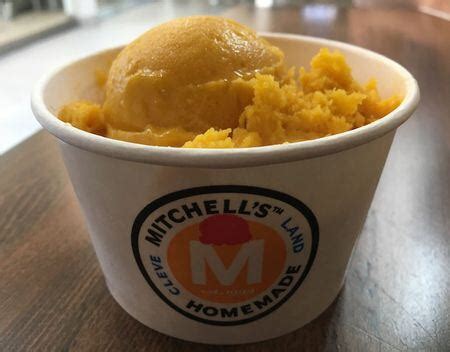 Mitchell S Ice Cream Tasting And Grading All Flavors Cleveland Com