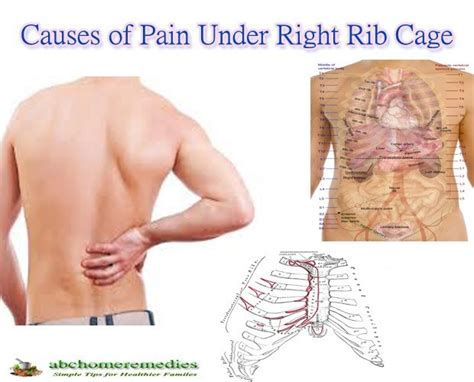 Pain Under Ribs And Back Ovulation Symptoms