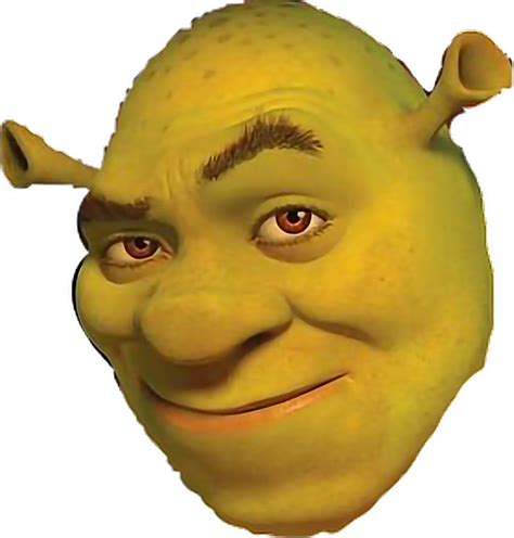 Memes Shrek Funny Face Bhe