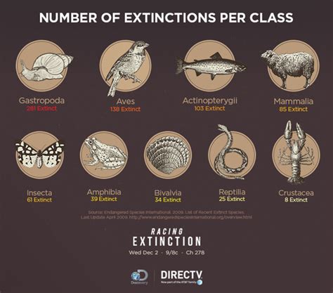 See The Animals That Have Already Died Off As The Pace Of Extinction