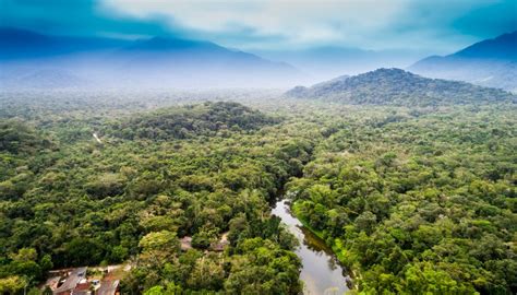 What is the geographical investigation how can we sustainably develop an area of tropical rainforest? The Characteristics of the Rainforest | Sciencing