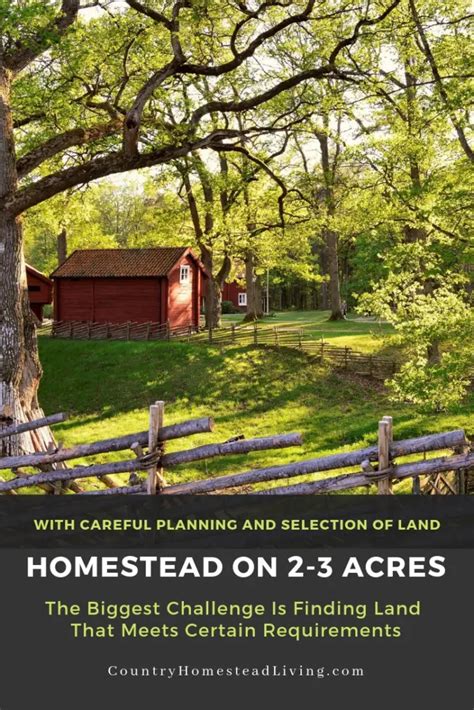 Successfully Homestead On 2 To 3 Acres What Is Needed Country