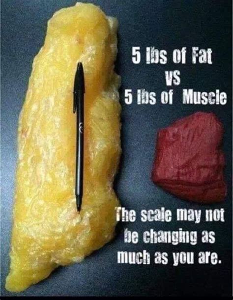 Does The Scale Tell You That You Arent Making Progress Be Broncho Fit