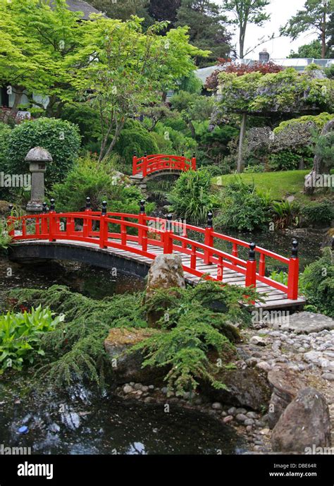 Red Wooden Bridges The Japanese Garden Cottered Hertfordshire Stock