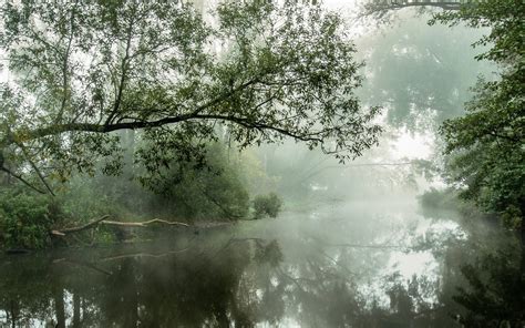 Nature Landscape River Mist Water Reflection Trees Morning