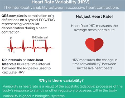 Heart Rate Variability Hrv Your Stress Is Measurable The Chiro Hub