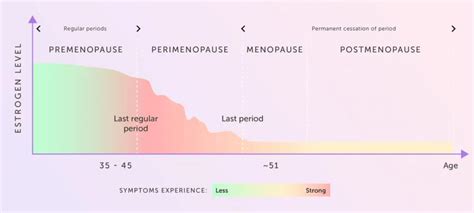 Fsh Levels During Menopause Charting The Hormonal Transition