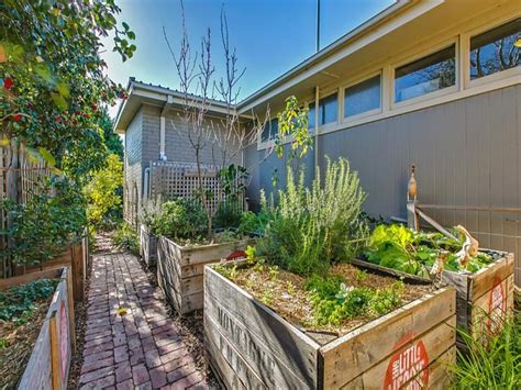 Kalanchoe does well in containers, and you can buy it in a variety of blooming colors, from red and yellow to pink. Thinking about a mid-century garden that complements your mid-century home? | Secret Design Studio