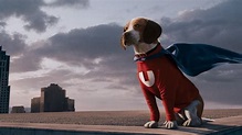 Underdog | Disney Wiki | Fandom