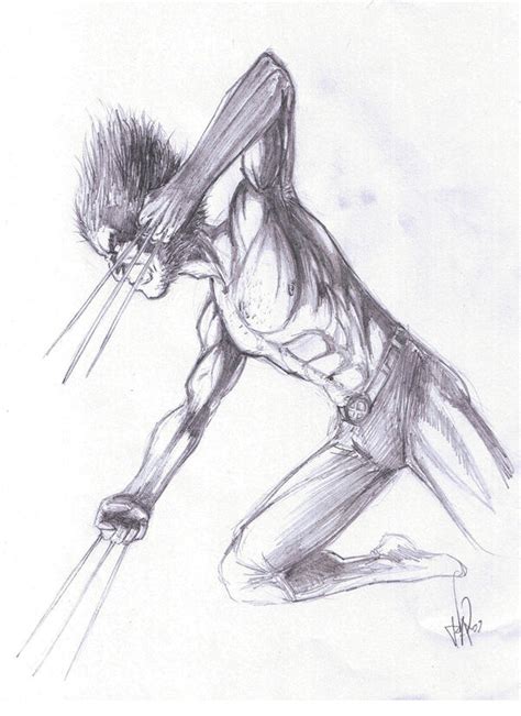 Wolverine Szkic By Tuax On Deviantart