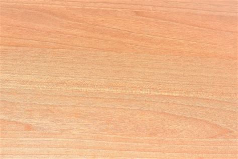 Free Images Texture Floor Clear Smooth Background Hardwood