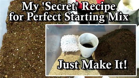 6 Tips And Complete Recipe For Making A Professional Seed Starting