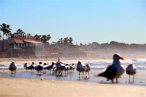 6 San Diego Suburbs With The Best Downtowns