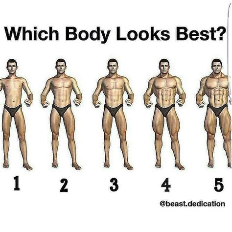 which body type do you prefer bodyweight workout gym workouts workout tips cardio bench
