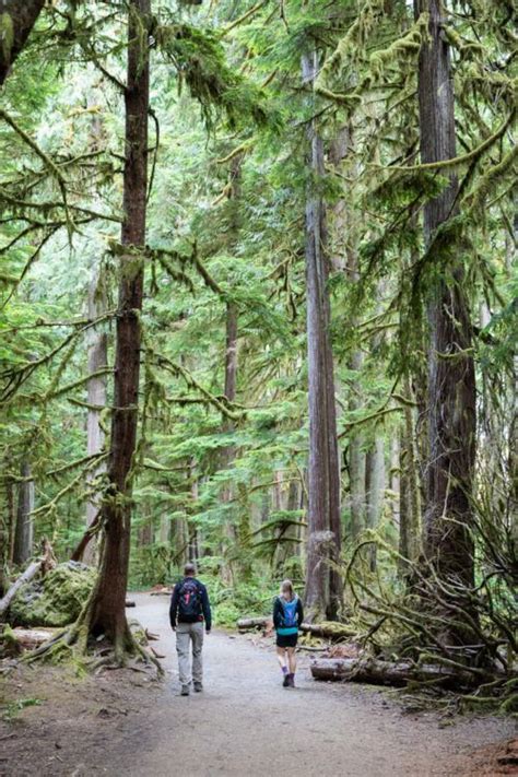 Best Things To Do In Olympic National Park Earth Trekkers