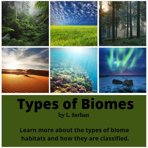 Types Of Biome Ecosystems Hubpages