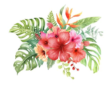 Watercolor Hibiscus Flowers Tropical Flower Clipart Hawaiian My XXX
