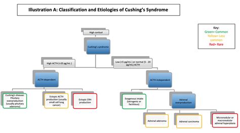 Cushing Syndrome Disease Endocrine Medbullets Step 23
