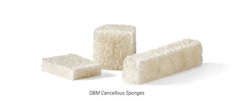 Dbm Cancellous Sponge Strips Suzzor