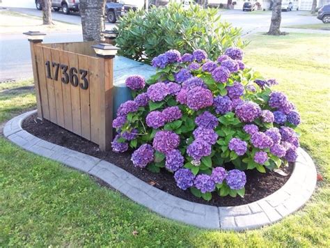 How to hide the view of utility boxes in your yard. 124 best Hiding utility boxes in yard images on Pinterest ...