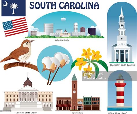 South Carolina Symbols High Res Vector Graphic Getty Images