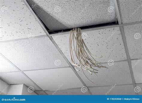 A Bunch Of White Wires Hang From The Suspended Ceiling Communication