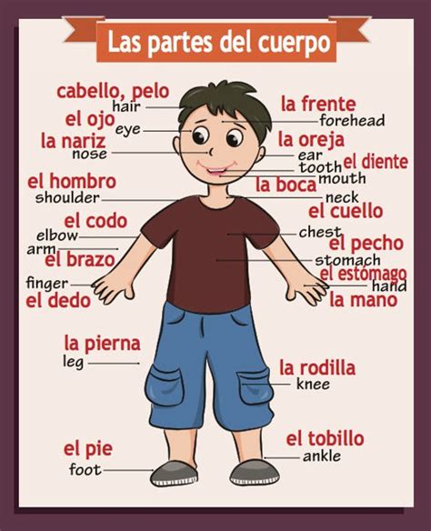 The resulting picture can be printed and cut out for your classes. Spanish/English Classroom Poster Body Parts