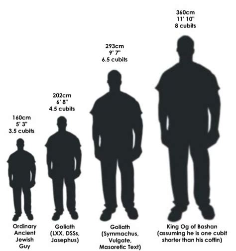 Just How Tall Were Those Giants