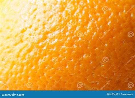 Skin Of Orange Stock Photo Image Of Fruit Juicy Ripe 5105450