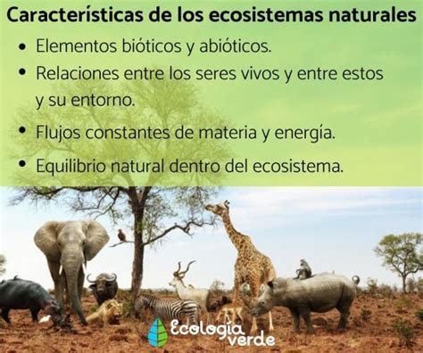 Ecosistema Natural Qué Es Características Y Ejemplos