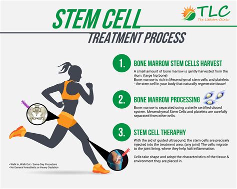 Stem Cells Tlc The Littleton Clinic