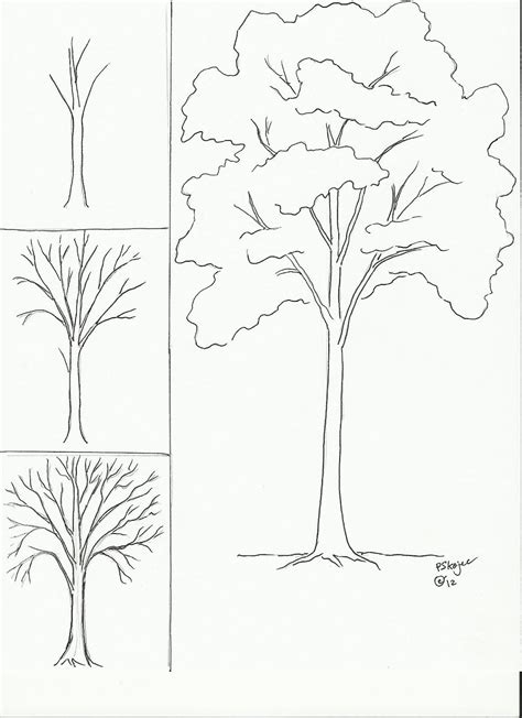 Drawings Flower Drawing Tutorials Tree Drawing