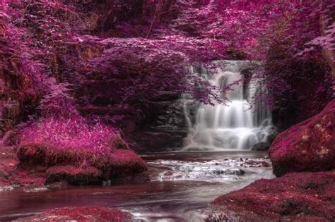 Pink Enchanted Forest Waterfall Wall Mural Wallpaper