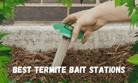 Best Termite Bait Stations To Consider In 2020 Top 3 Picks