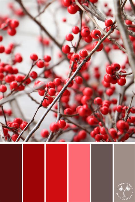 Christmas Cranberries Color Palette Color Palette Inspiration