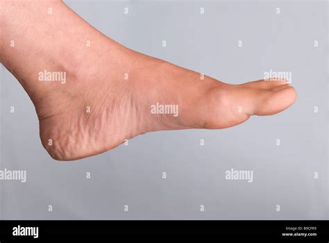 Side View Of A Womans Foot Stock Photo Alamy