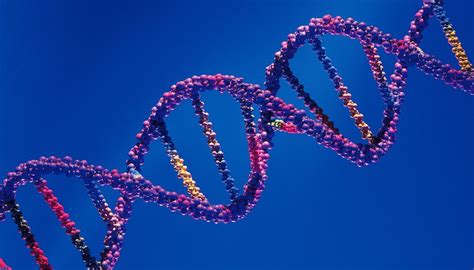 What Are Some Characteristics Of Dna Sciencing