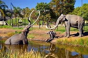 La Brea Tar Pits and Museum: Hours, Tickets and History