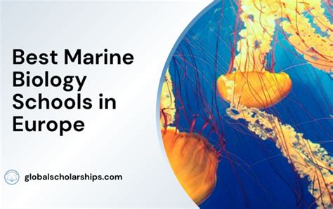 17 Best Marine Biology Schools In The World Global Scholarships