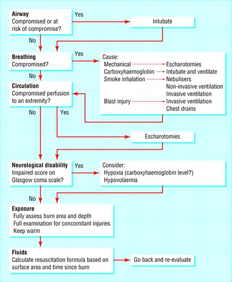 Initial Management Of A Major Burn I—overview The Bmj