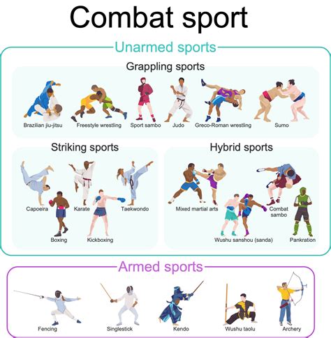 Example 4 Combat Sport This Sample Diagram Is Dedicated To The Combat