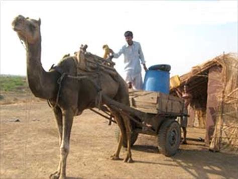 It has been rumored that you can use. How parched villages save water in Rajasthan - Rediff.com ...