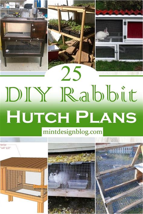 25 Diy Rabbit Hutch Plans Mint Design Blog