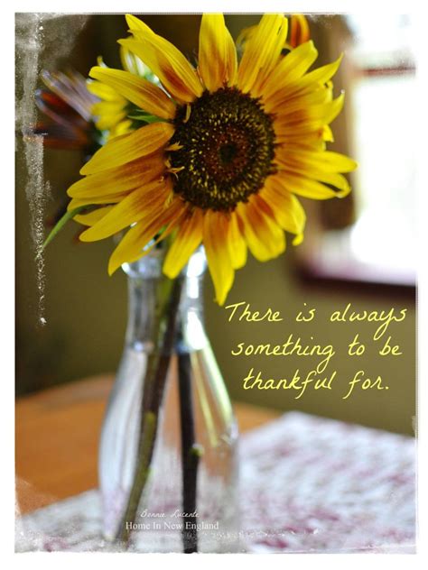 There Is Always Something To Be Thankful For Sunflower Quotes