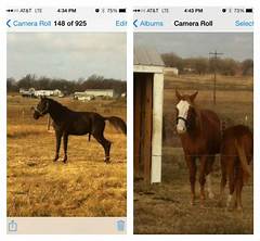 Craigslist Of Little Rock