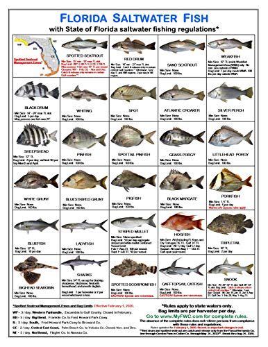 Florida Saltwater Fishing Zones