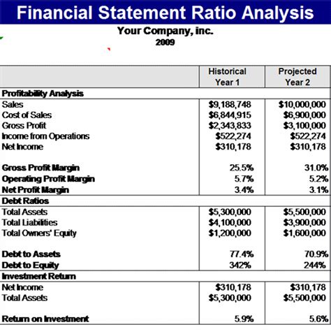 Financial Statement Ratios Template Microsoft Excel Template Ms